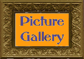 Picture Gallery.