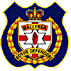 Ballyrea Boyne Defenders