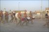 Filename=14.jpg
Filesize=93KiB
Dimensions=500x330
Date added=Jul 29, 2007 14.jpg