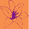 The History Of Orangeism In England