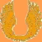 Orange Wings.